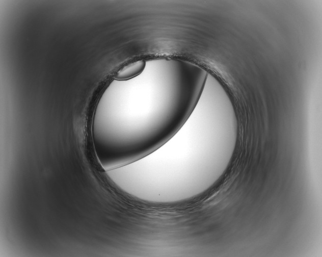 X0000088690540200705311000