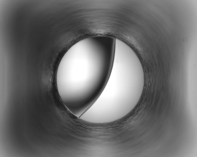 X0000088690544200705311000