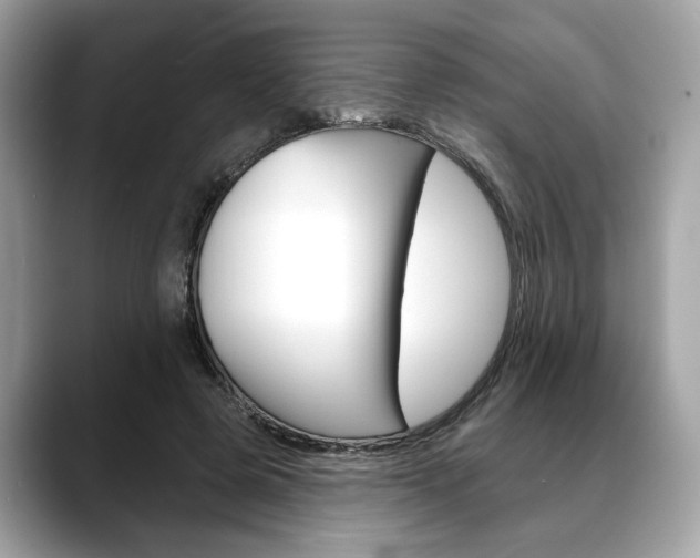 X0000088690545200705311000