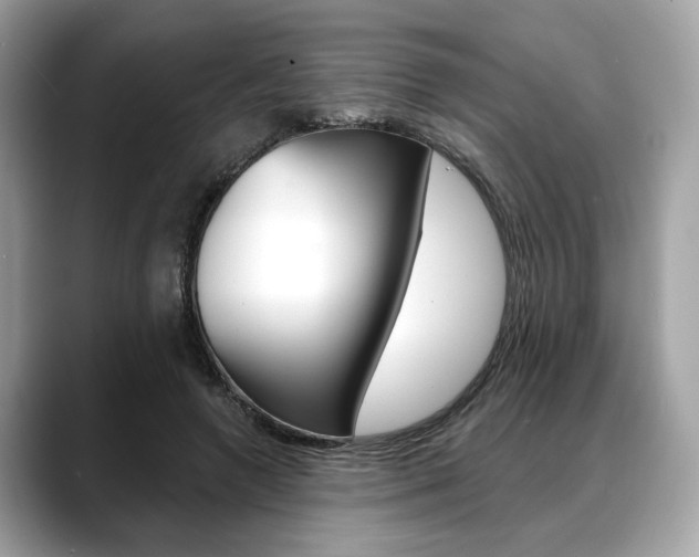 X0000088690546200705311000