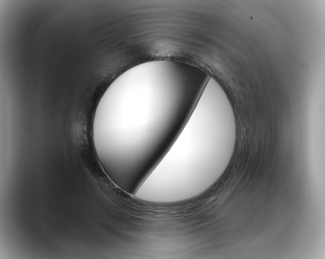 X0000088690547200705311000