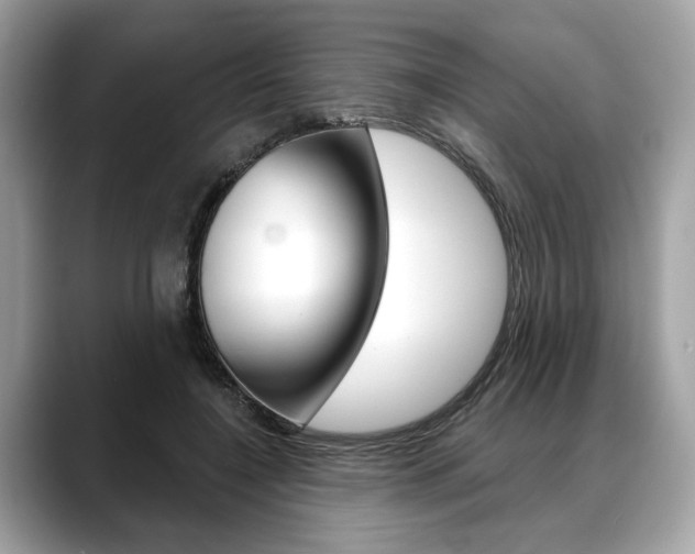 X0000088690548200705311000