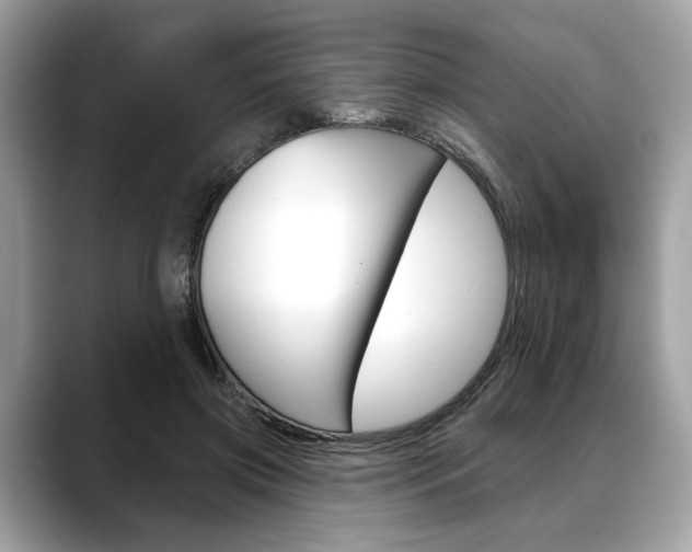 X0000088690549200705311000
