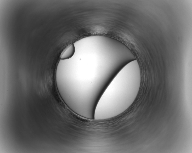 X0000088690550200705311000