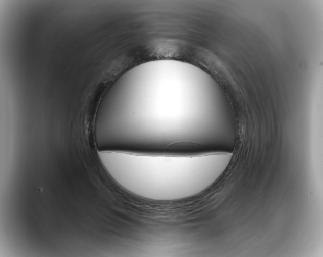 X0000088690551200705311000
