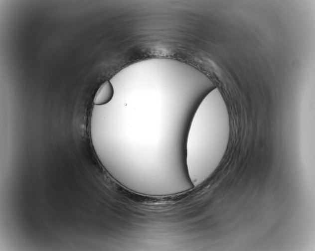X0000088690553200705311000