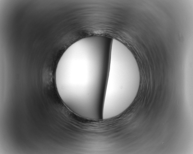 X0000088690555200705311000