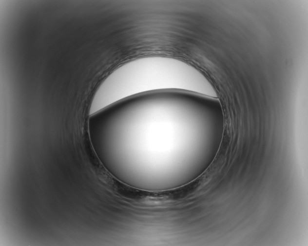 X0000088690556200705311000