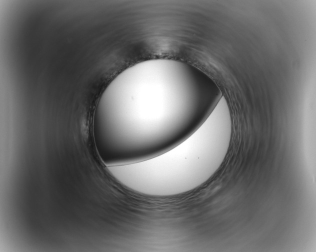 X0000088690558200705311000