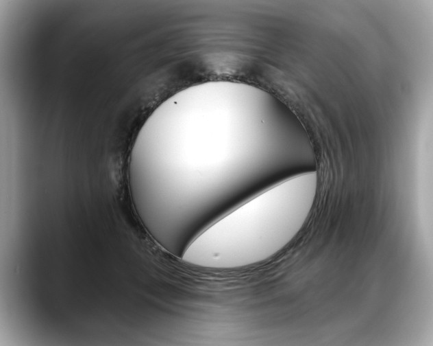X0000088690559200705311000