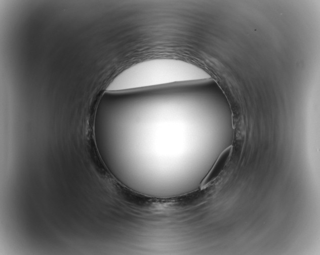 X0000088690560200705311000