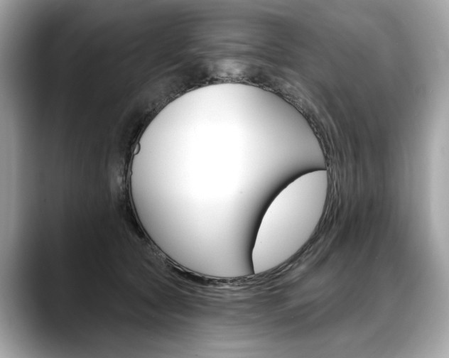 X0000088690561200705311000