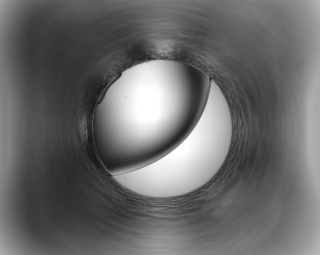 X0000088690562200705311000