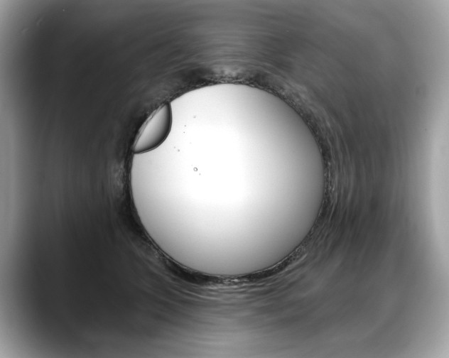 X0000088690563200705311000