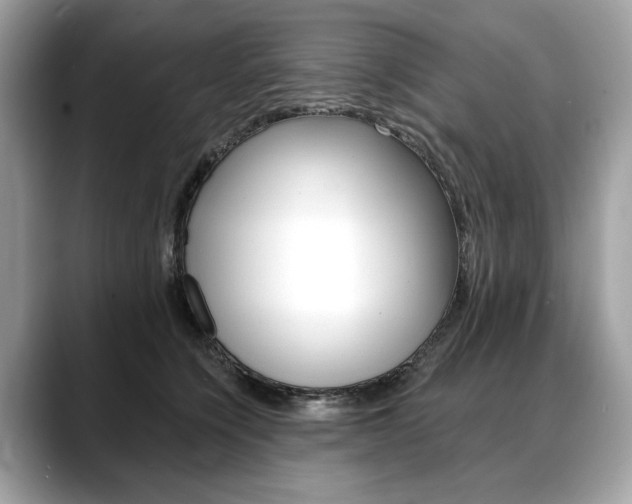 X0000088690564200705311000