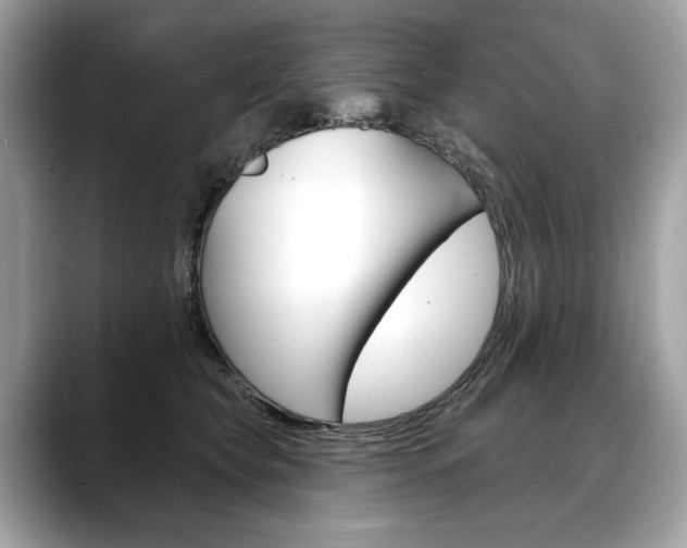 X0000088690565200705311000