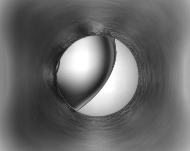 X0000088690566200705311000