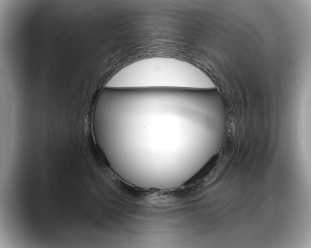 X0000088690568200705311000