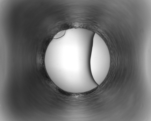 X0000088690569200705311000