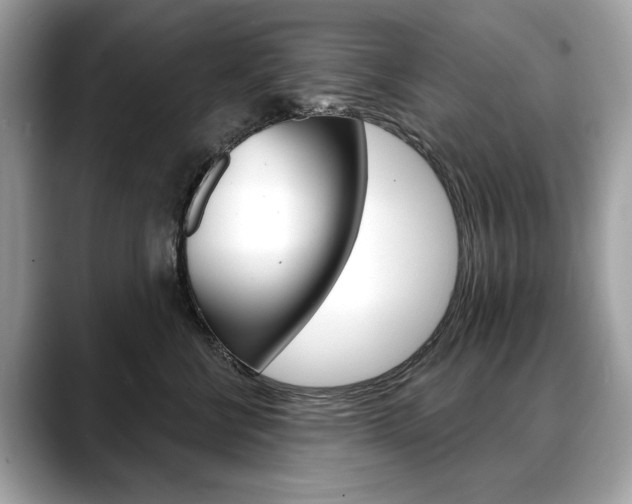 X0000088690570200705311000
