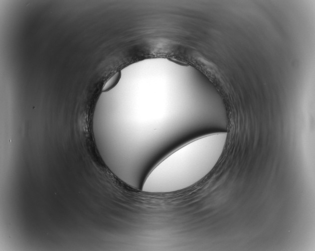 X0000088690571200705311000