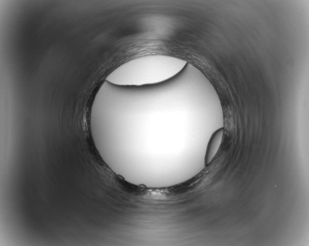 X0000088690573200705311000