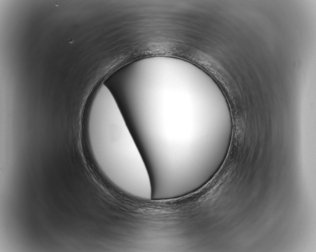 X0000088690578200705310959