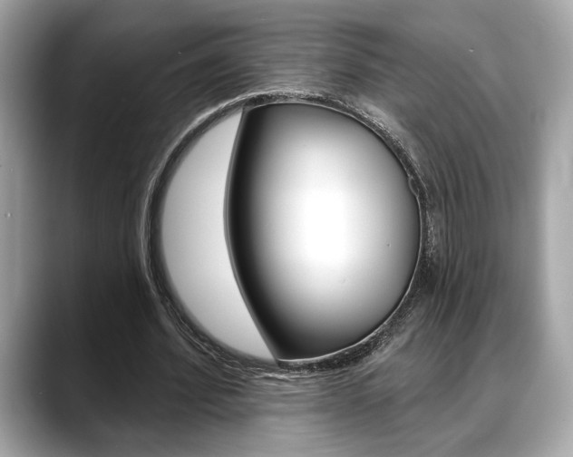 X0000088690580200705310959