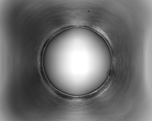 X0000088690581200705310959