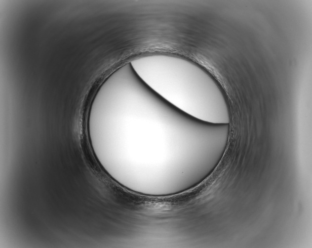 X0000088690582200705310959