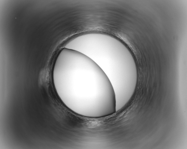 X0000088690583200705310959