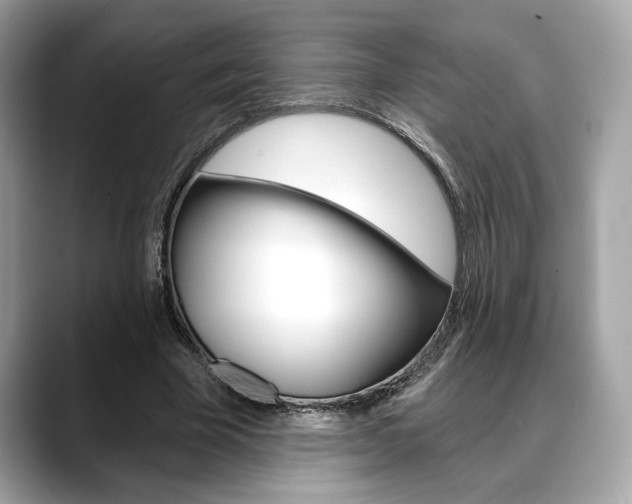 X0000088690585200705310959