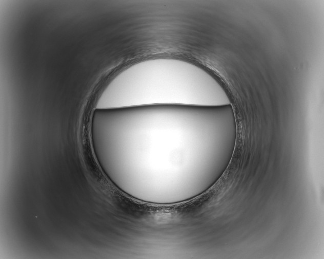X0000088690587200705310959