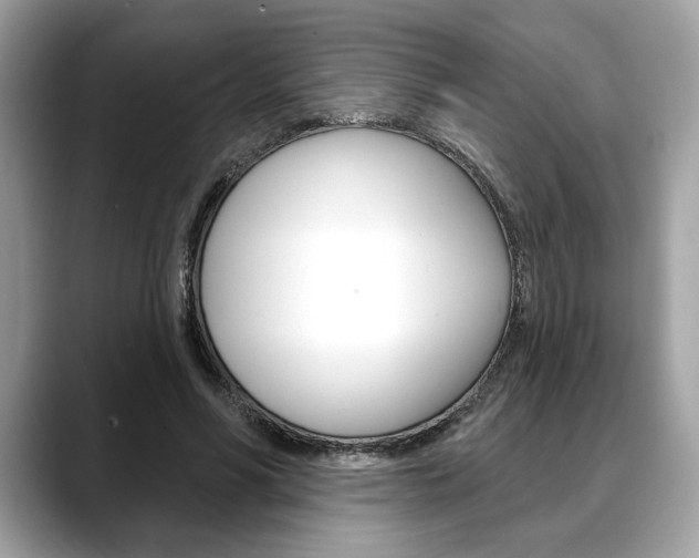 X0000088690590200705310959