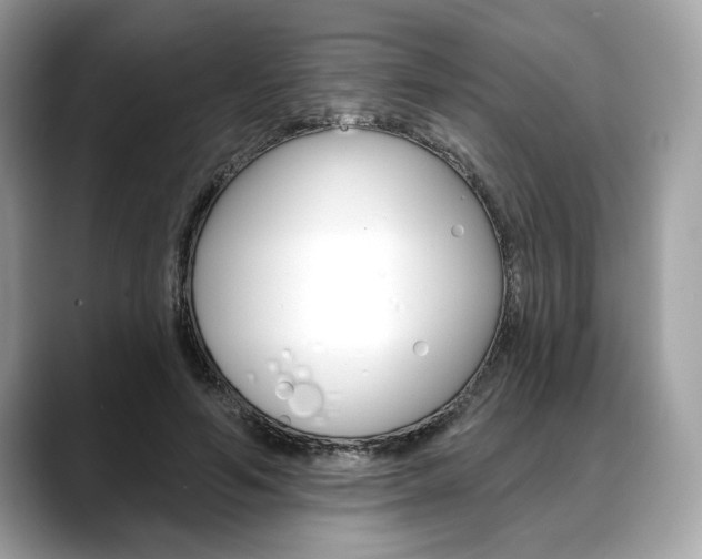 X0000088690594200705310959