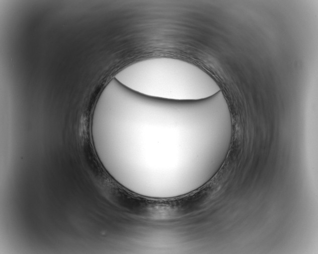 X0000088690598200705310959