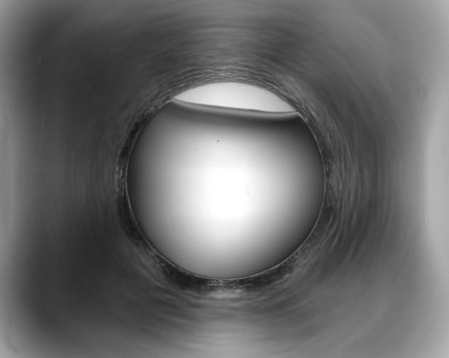 X0000088690601200705310959