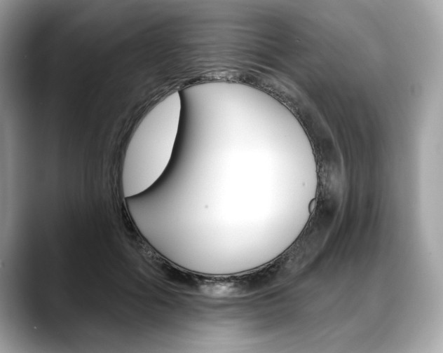 X0000088690602200705310959