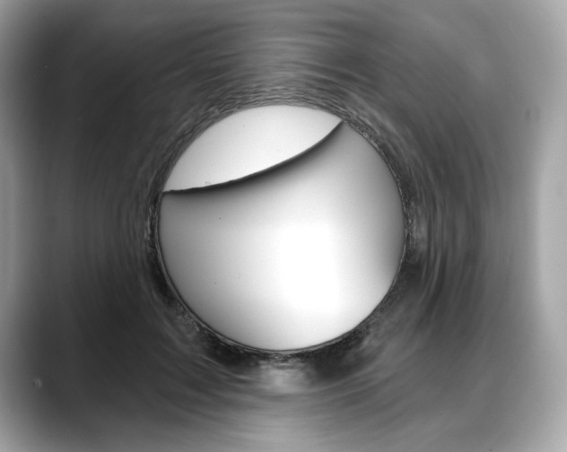 X0000088690603200705310959