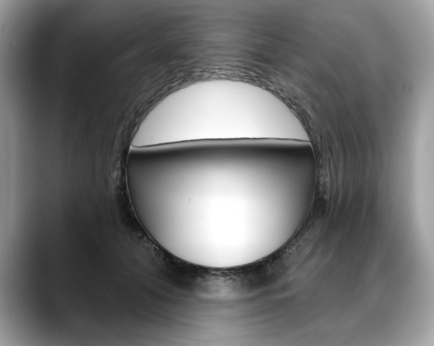 X0000088690608200705310959