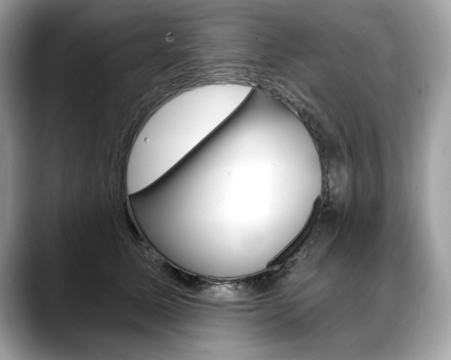 X0000088690611200705310959