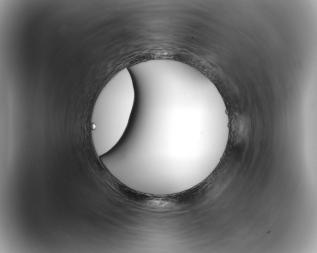 X0000088690614200705310959