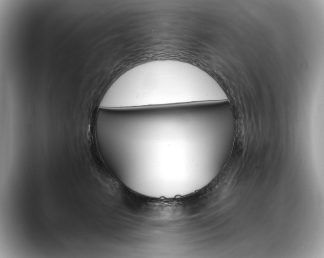 X0000088690615200705310959