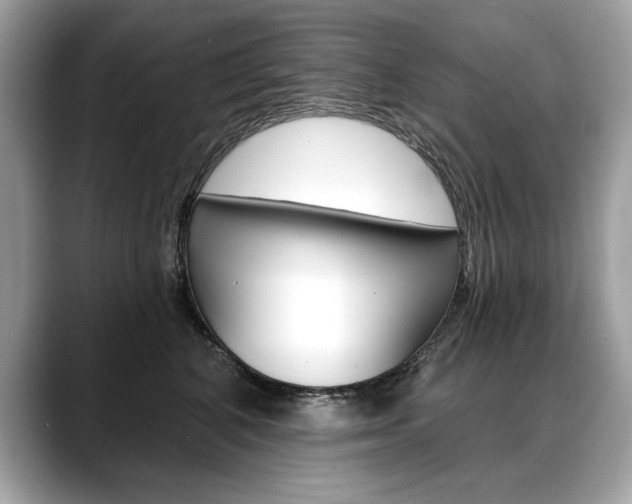 X0000088690616200705310959