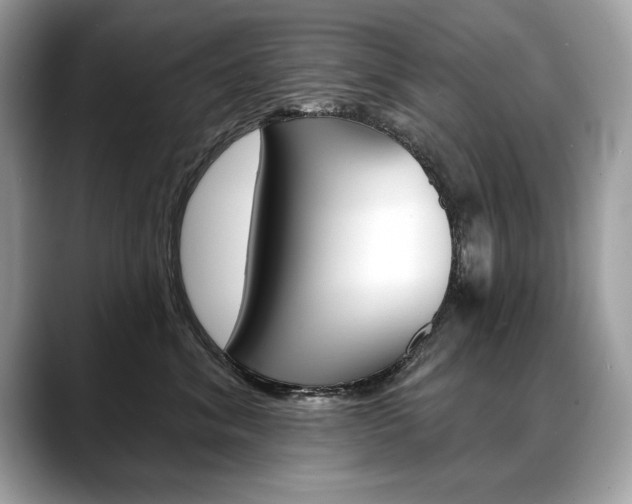 X0000088690620200705310959