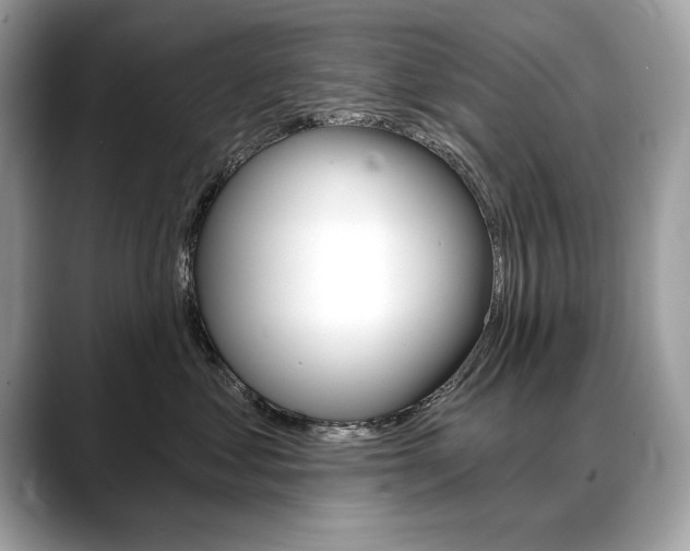 X0000088690621200705310959