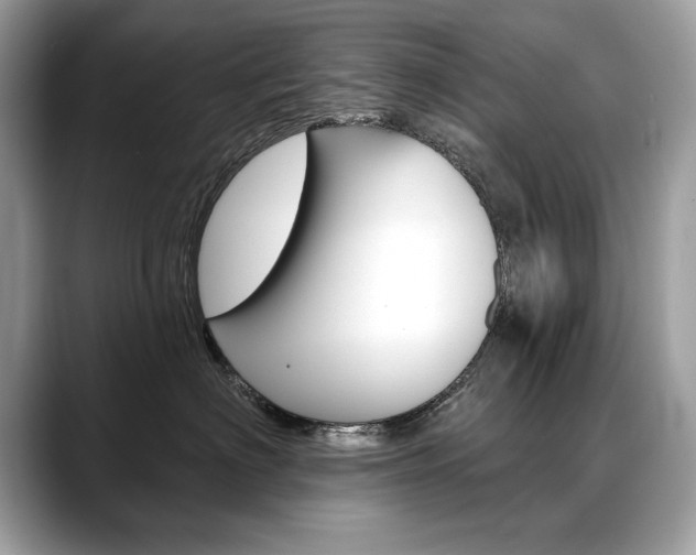 X0000088690622200705310959