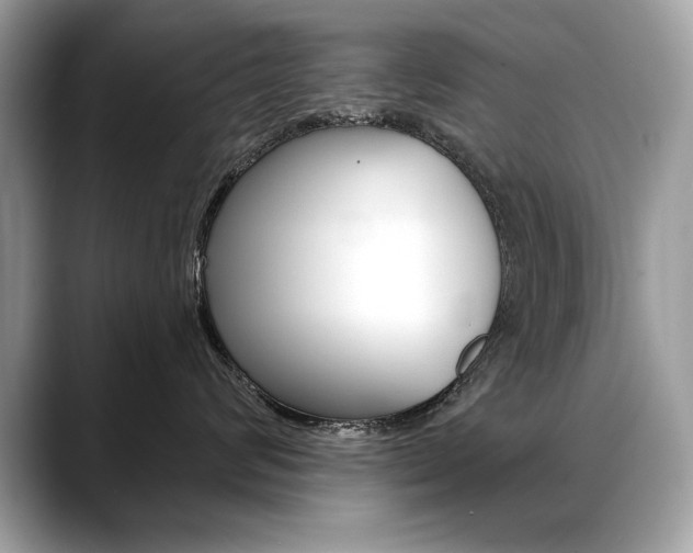 X0000088690624200705310959