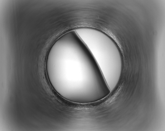 X0000088690625200705310958