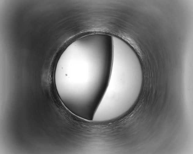 X0000088690628200705310958